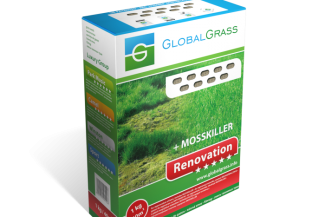 Renovation + Mosskiller