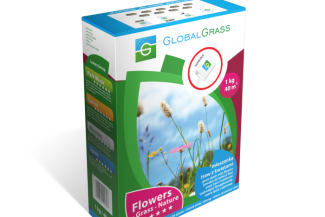 Flowers Grass Nature